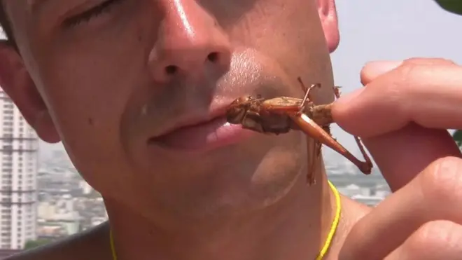 Da li biste jeli insekte da sačuvate planetu?