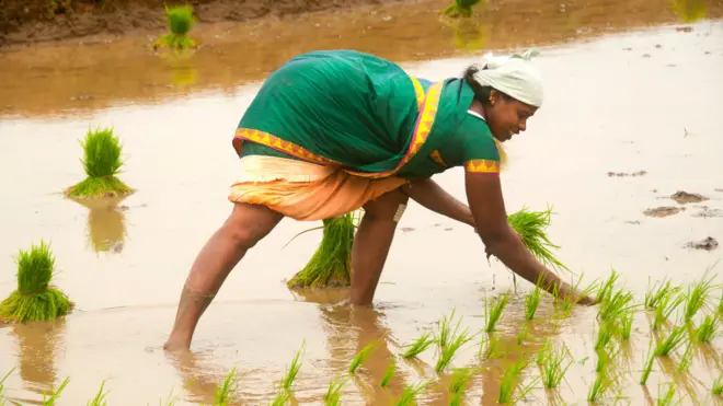 ఎల్ నినో, లా నినా, వాతావరణ మార్పులు, పంటల సాగు, ఆంధ్రప్రదేశ్
