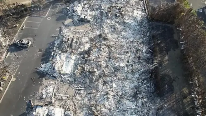 Последствия лесных пожаров на Гавайях.