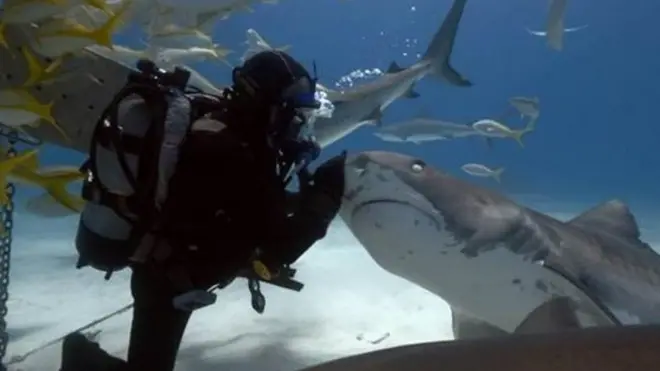 මෝර යහළුවන් ආරක්ෂා කරන මිනිසා