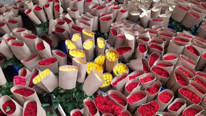 Abaaboo gabaaf qophaa'e