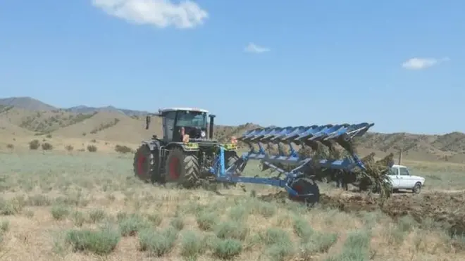 Ceyranlar təhlükədə, Ekofront, Acınohur