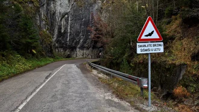 Упозорење возачима на потенцијални сусрет на путу