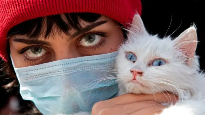 كيف يتعامل العراق والسعودية مع فيروس كورونا؟