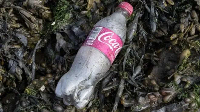 У Британії підготували рішучий план боротьби із забрудненням пластиком