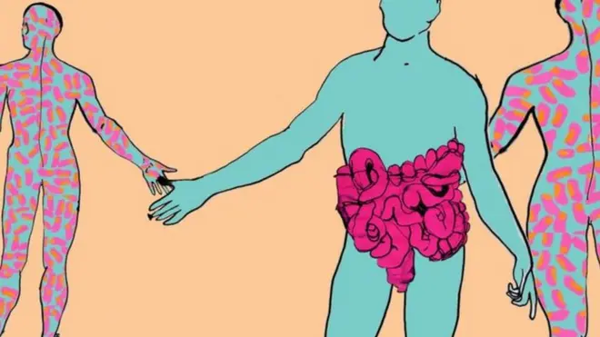 ఇలస్ట్రేషన్