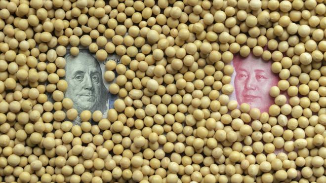 中国征税涉及大豆等美国农产品