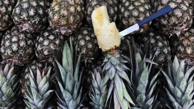 Food na one di most common things wey criminals dey hide hard drugs put