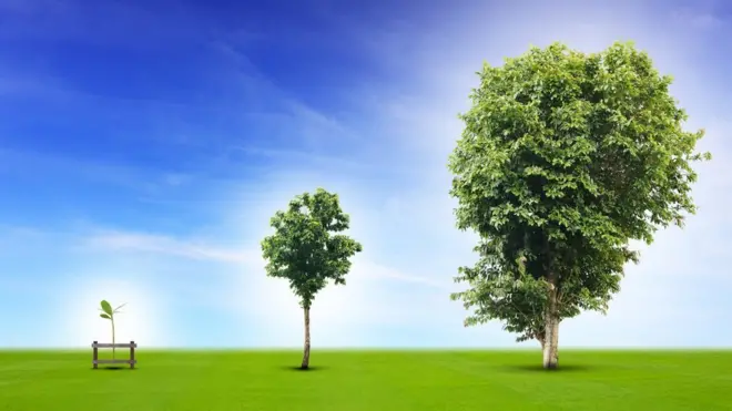 En castellano hay varios modos de expresar una cualidad en su grado más alto.