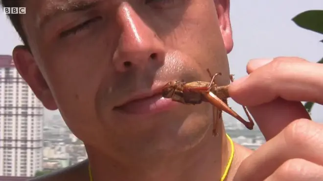 Чи вистачить людям упертості перейти з традиційного м'яса на комах?