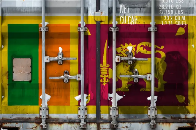 Close-up of the container with the national flag of Sri Lanka. The concept of Sri Lanka export-import and national delivery of goods.