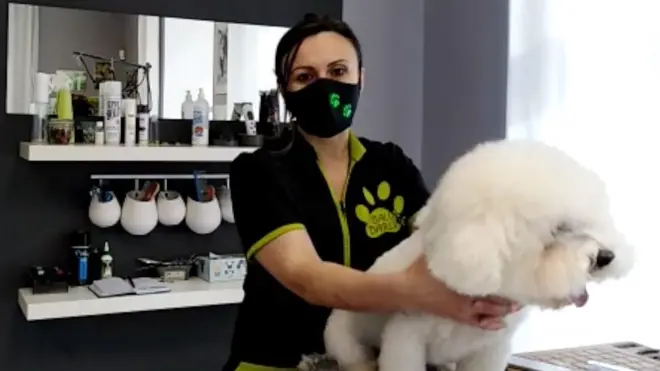 Зоопарки и собачьи салоны: как Чехия выходит из карантина