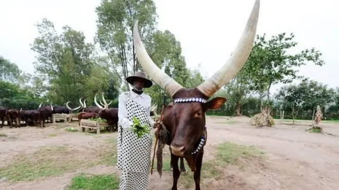 طوال مئات السنين، كان الروانديون الذين لديهم ما يكفي من الحليب يتشاركونه مع المحتاجين