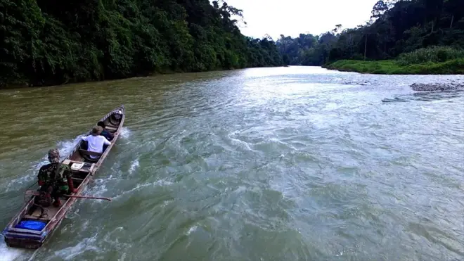 Pemerintan berencana membangun bendungan di rute terakhir migrasi gajah Sumatra di Leuser. Apakah artinya kita sedang menjadi saksi kepunahan gajah Sumatra?