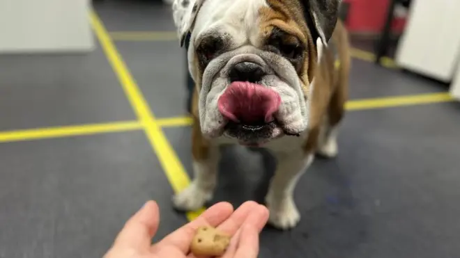 Hrana je poskupela za 10 odsto u maloprodaji