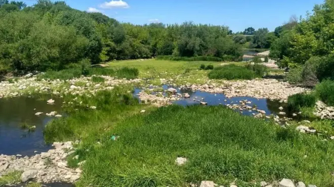Річка Случ пересихає з кожним роком
