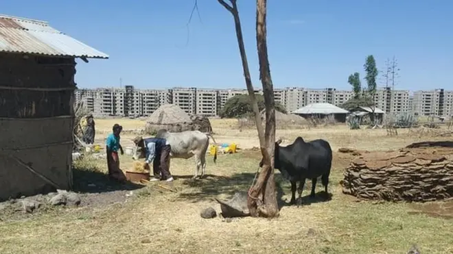 Babal'ina magaalaa Finfinnee