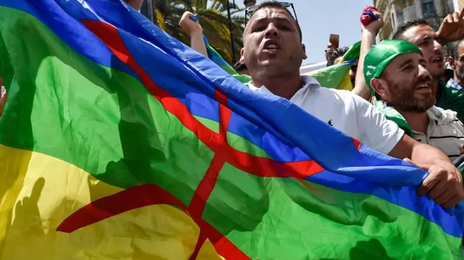 العلم الأمازيغي في مظاهرات الجزائر