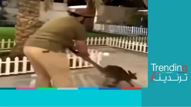 غضب في السعودية بسبب "مندي الكنغر"