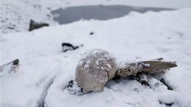 Naturally preserved ancient human skeletons under snow found beside high altitude alpine Roopkund lake in Indian Himalayas.