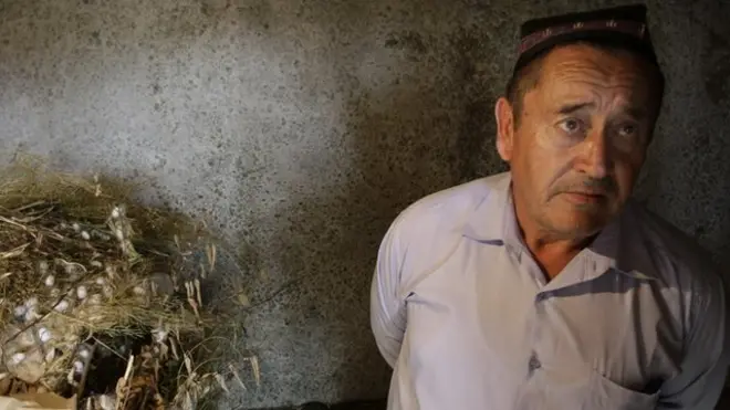 Пиллачи эркак