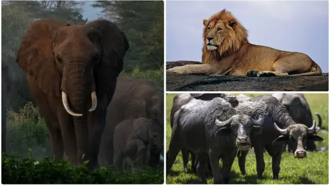 Arba, leencaa fi gafarsa