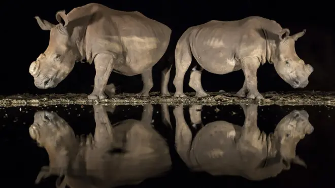 نیشنل جیوگرافک