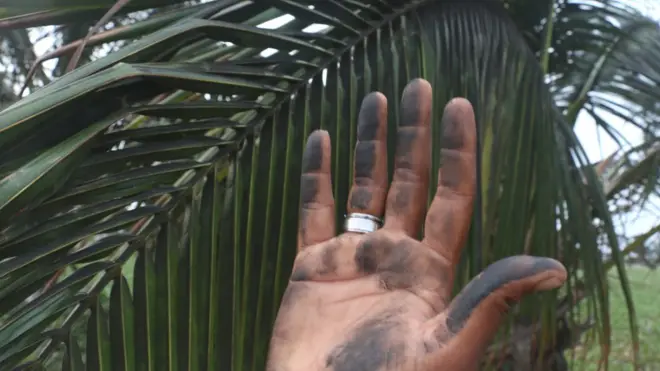 නොරොච්චෝලේ හරිත විනාශය