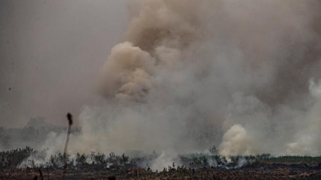 Vista de um setor queimado do Pantanal, município de Porto Jofre, localizado no município de Pocone, estado do Mato Grosso, Brasil, 19 de setembro de 2020.