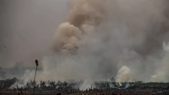 Fumaça e partículas liberadas pelos incêndios são levadas pelo vento a outras regiões