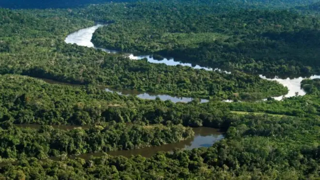 Uma área do tamanho da Dinamarca perdeu o statuspixbet logo vectorreserva ambiental