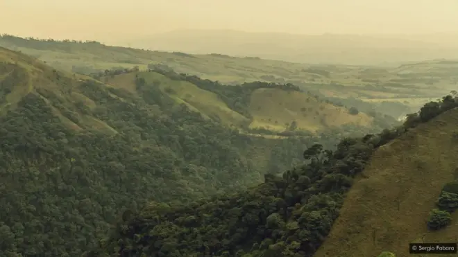 Jungle et collines colombienne