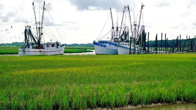格勒吉奇走廊孤立的地理位置创造了与世隔绝的的沿海岛屿社群。