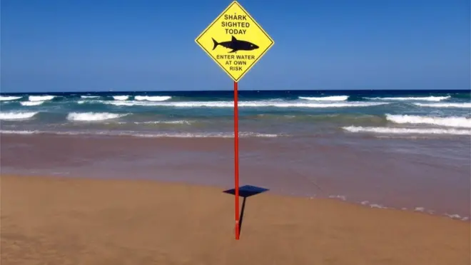 شارک سے متنبہ کرنے کے لیے یہ بورڈ لگایا جاتا ہے