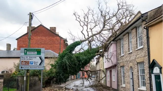 A fallen tree rests against a house blocking a road in Sudbury, Suffolk