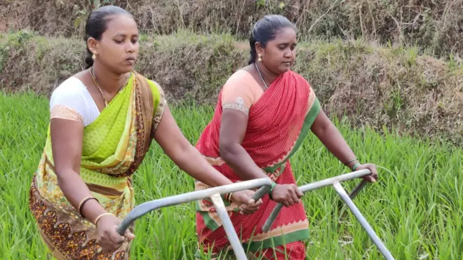 కొండబారిడి గ్రామం సేంద్రీయ వ్యవసాయంలో అగ్రగామిగా నిలిచింది.