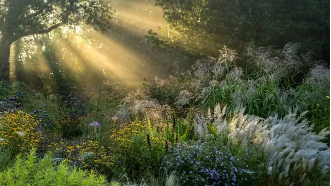 แสงแรกแห่งอรุณ