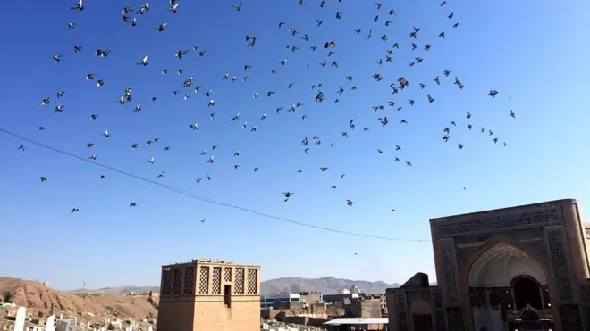 دولت وایي د چاپېریال ساتنې لپاره خلک هم باید له حکومت سره همکاري وکړي