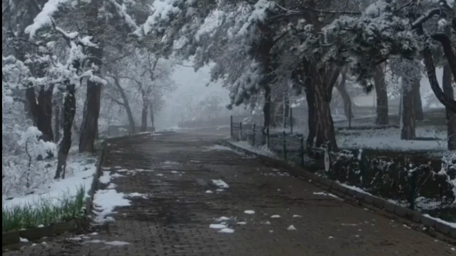 Bir parka kar yağmış, çimler beyaz örtüyle kaplanmış