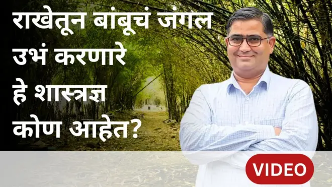 थंबनेल