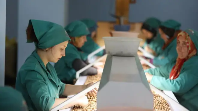 Fabrikada fındık ayıklayan işçiler