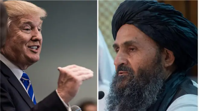 برادر و ترامپ