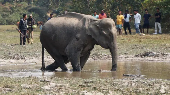 सांकेतिक तस्वीर