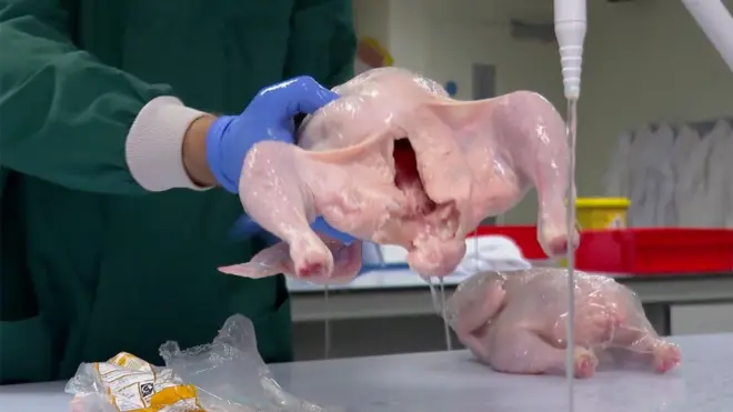 வெறும் கண்ணால் பார்க்கும்போது, அவை எளிதில் துடைக்கக்கூடிய சாதாரண நீர்த்துளிகள் போலத் தெரிந்தன. ஆனால் புற ஊதா ஒளி 'குறுக்கு-மாசுபாட்டை' வெளிப்படுத்தியது.