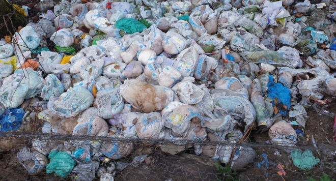 డైపర్లు రీయూజ్, పర్యావరణం, చిన్నారులు, ఆరోగ్యం, బ్రిటన్, బెల్జియం