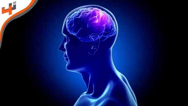 تطوير خلايا دماغ لعلاج الإدمان