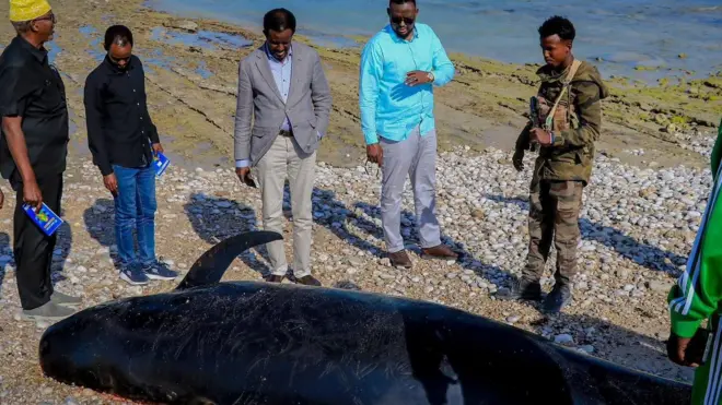 Puntland kalluumaysi