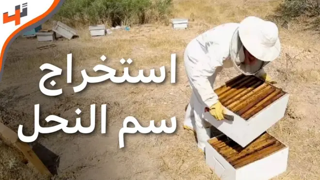 جهاز لاستخراج سم النحل لعلاج الحساسية