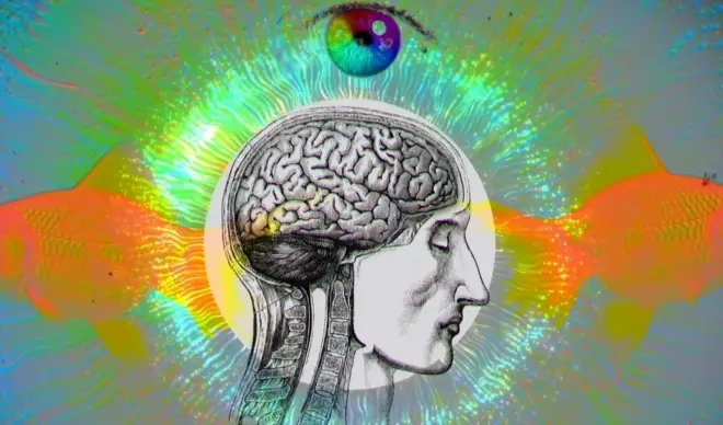 Aworan ọpọlọ eeyan kan