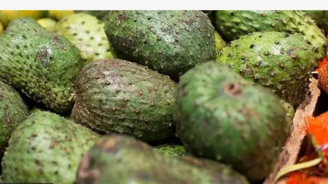 Aworan eso Soursop(Ibobo)